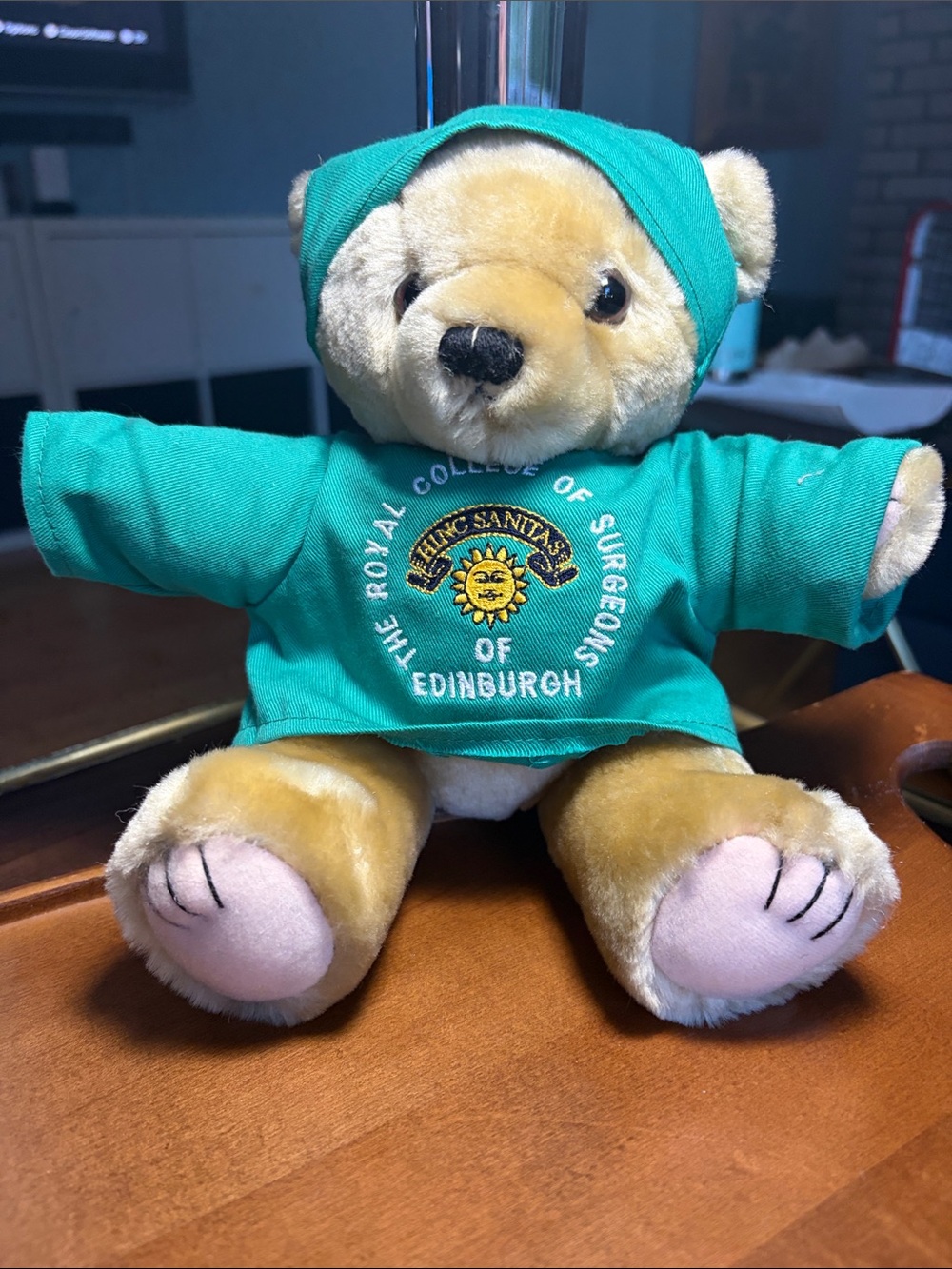 10” Royal College of Surgeons of Edinburgh Teddy Bear in Scrubs movable limbs